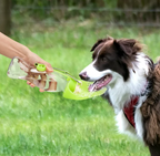Portable Dog Water Bottle for Walking & Travel, 580ml Leak-Proof Silicone Dispenser with Fold-Out Drinking Bowl & Wrist Strap
