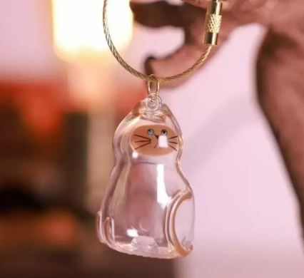 Transparent Cat Keychain Storage Capsule, Clear Kitty Pendant Bag Charm with Wire Ring for Keepsakes and Pet Hair, Gift for Cat Lovers