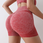 Women's High-Waist Stretch Yoga Shorts, Quick Dry, Anti-Slip, Fitness & Sports
