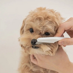 Stainless Steel Pet Grooming Comb for Dogs & Cats, Dense Fine-Tooth Flea & Shedding Comb with Rounded Skin-Safe Pins