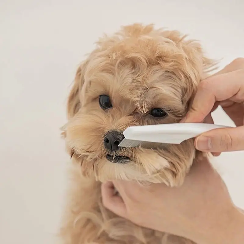 Stainless Steel Pet Grooming Comb for Dogs & Cats, Dense Fine-Tooth Flea & Shedding Comb with Rounded Skin-Safe Pins