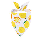 Pet Bandana Triangle Tie On Scarf for Dogs and Cats Plaid Snowflake Lemon Banana Prints Adjustable Cotton Neckerchief All Seasons