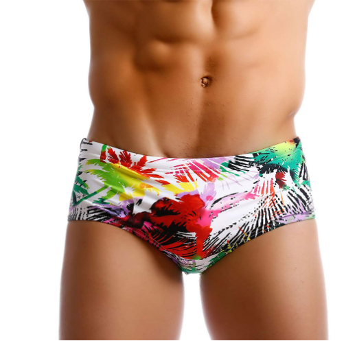 Men's Graphic Print Swim Briefs