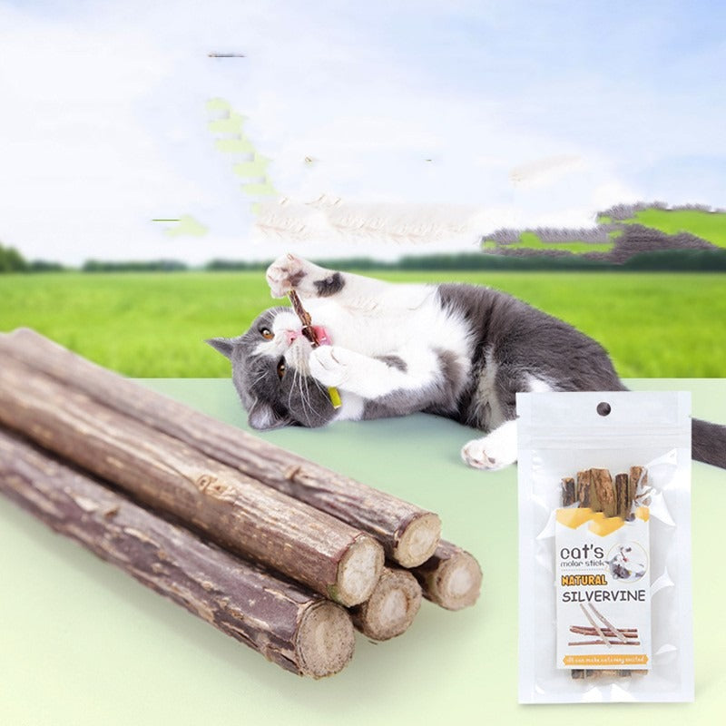Natural Silvervine Cat Chew Sticks, Matatabi Molar Dental Teeth Cleaning Treat for Cats & Kittens, Pack of 5