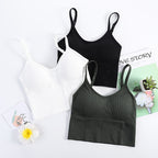 Seamless Camisole Crop Top