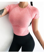 Seamless Jacquard Crop Top