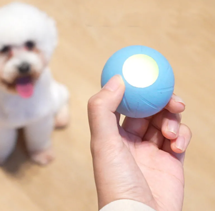 Interactive Rolling Pet Ball USB Rechargeable Automatic Moving Cat Dog Toy with LED Light Self-Rolling Teaser for Indoor Play