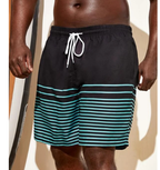 Men's Palm Tree Print Quick-Dry Swim Trunks
