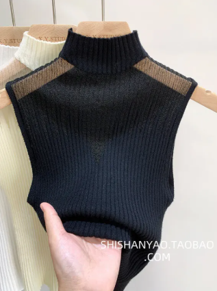 Half Turtleneck Tube Top
