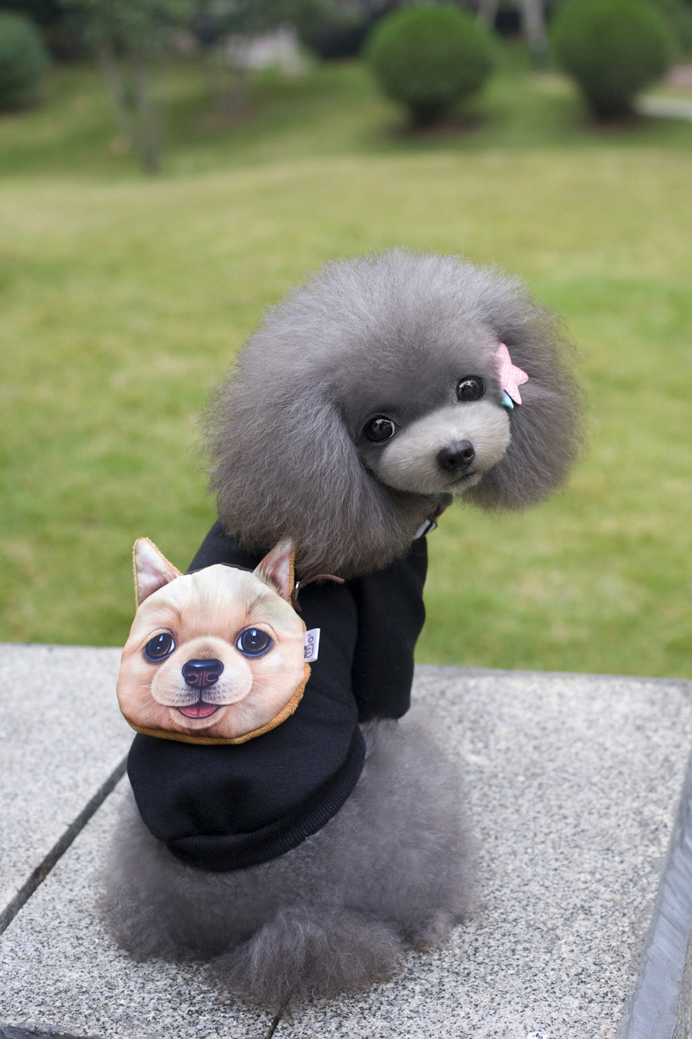 Dog Hoodie with Backpack - Cute 3D Puppy Face Pouch Fleece Sweater for Small Dogs, Warm Autumn Winter Pet Hoodie in Black or Red