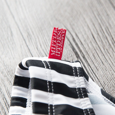 Men's Low-Rise Striped Swim Briefs