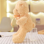 Teddy Bear Plush Toy and Cuddly Doll Collection | Home Decor