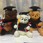 Plush Doctor Bear Toy Gift - Graduation Teddy Bear | Home Decor