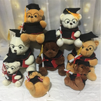 Plush Doctor Bear Toy Gift - Graduation Teddy Bear | Home Decor