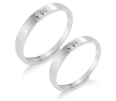 Cat Couples Matching Rings