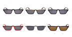 Small Frame Cat-Eye Sunglasses