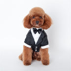 Formal Dog Tuxedo with Attached Bow Tie, Gentleman Wedding Suit Costume for Small and Medium Dogs, Black Party Pet Outfit