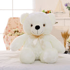 50cm LED Light-Up Teddy Bear Plush Toy | Home Decor
