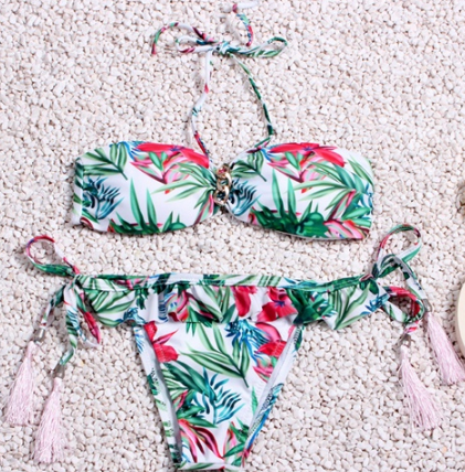 Tropical Print Bandeau Bikini Set with Tassels
