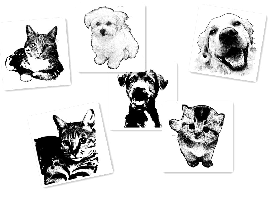 Pet Dog and Cat Tag Pendant Photo Keychain