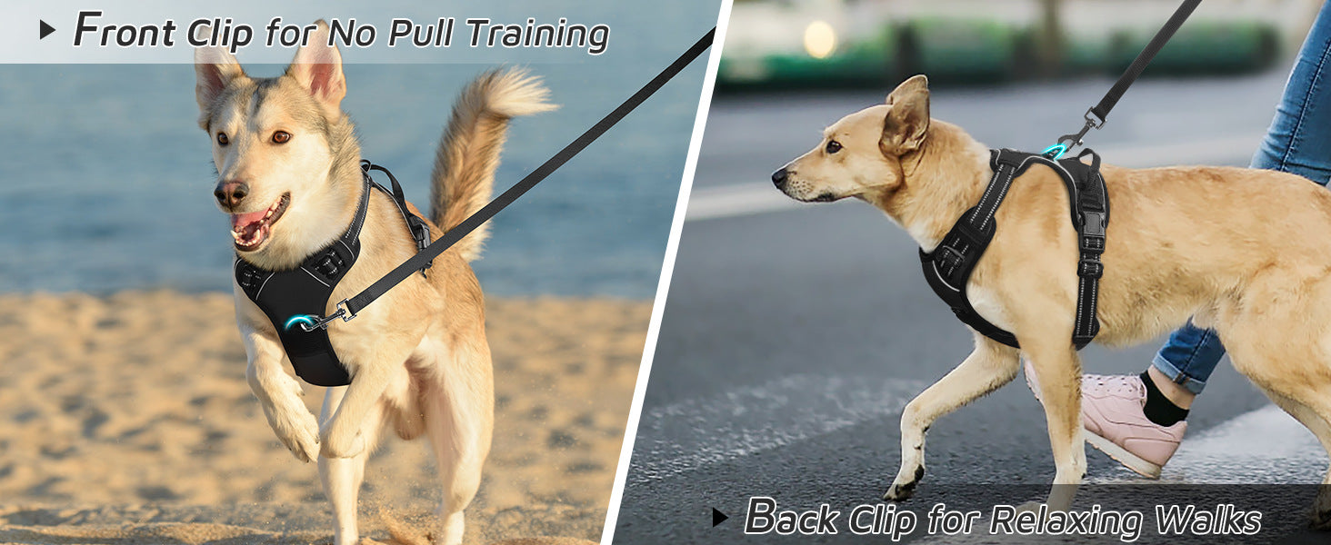 No-Pull Dog Harness with Handle and Reflective Straps - Adjustable Padded Mesh Vest Harness for Small Medium Large Dogs, No Choke Walking Harness