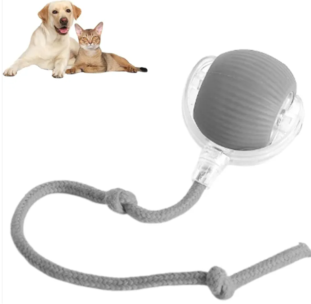 Interactive Smart Rolling Pet Ball, USB-C Rechargeable Automatic Moving Cat & Dog Toy with LED Light and Rope Tail