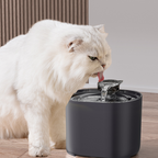 Automatic Cat Water Fountain with Filters, Quiet Circulating Pet Water Dispenser for Cats and Dogs, Fresh Flowing Drinking Bowl with 8 Filters