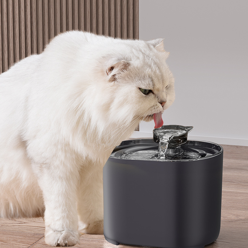 Automatic Cat Water Fountain with Filters, Quiet Circulating Pet Water Dispenser for Cats and Dogs, Fresh Flowing Drinking Bowl with 8 Filters