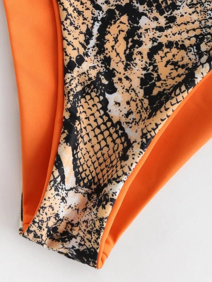 Snake Print One-Shoulder Bikini Set
