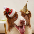 Pet Festive Hat Clip Set Mini Sequin Santa Hat and Glitter Witch Wizard Hat with Star Moon for Dogs Cats Halloween Christmas Costume
